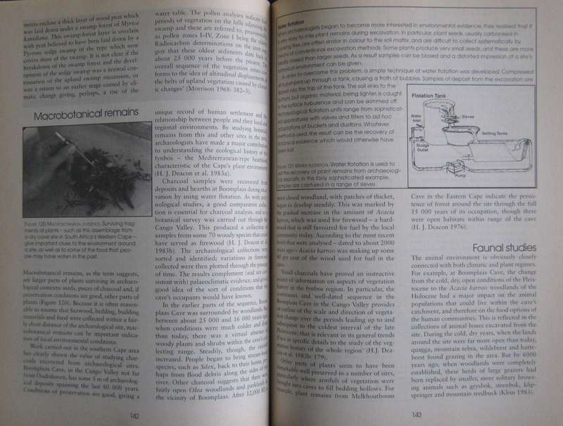 Archaeology Africa Martin Hall Publisher: David Philip