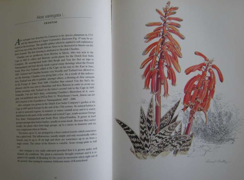Flowers of Southern Africa Auriel Batten      Publisher: Southern Book Publishers  Edition