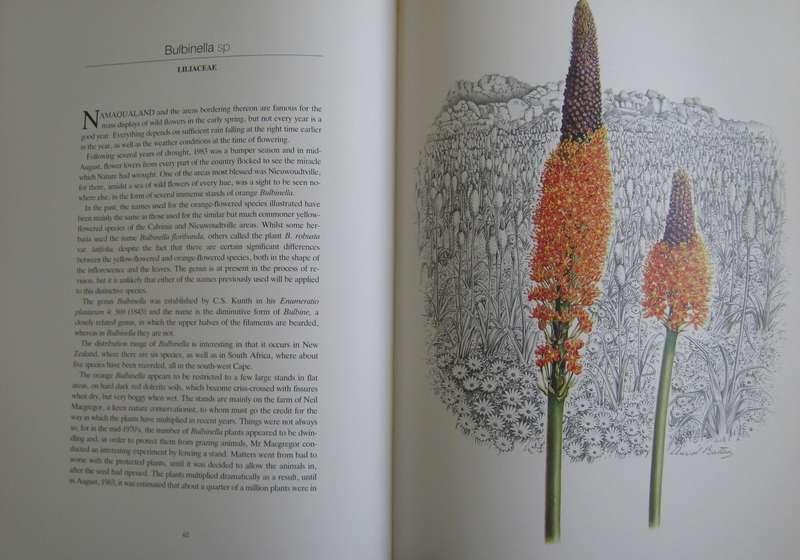 Flowers of Southern Africa Auriel Batten      Publisher: Southern Book Publishers  Edition