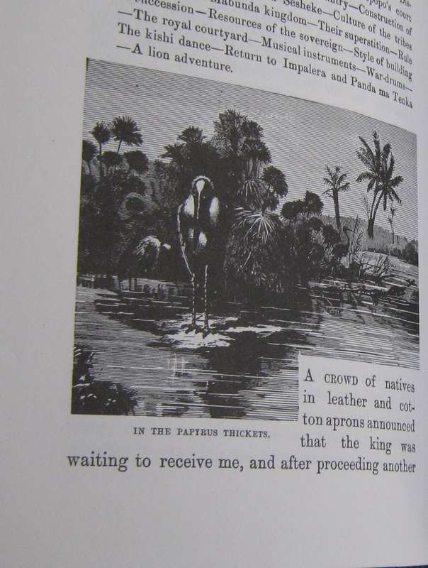 Seven Years In Africa Travels, Researches, and Hunting Adventures, between the Diamond-Fields and th