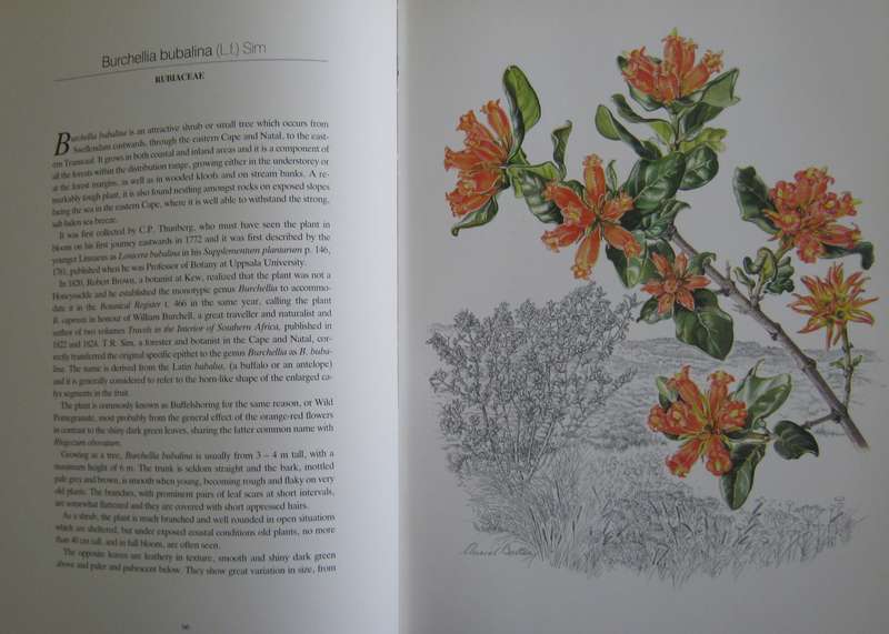 Flowers of Southern Africa Auriel Batten      Publisher: Southern Book Publishers  Edition