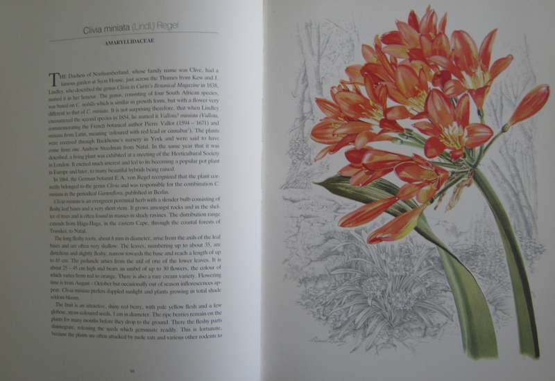 Flowers of Southern Africa Auriel Batten      Publisher: Southern Book Publishers  Edition