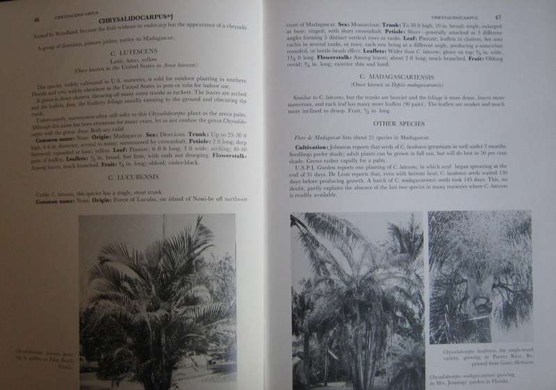 Palms of the World & Supplement to Palms of the World