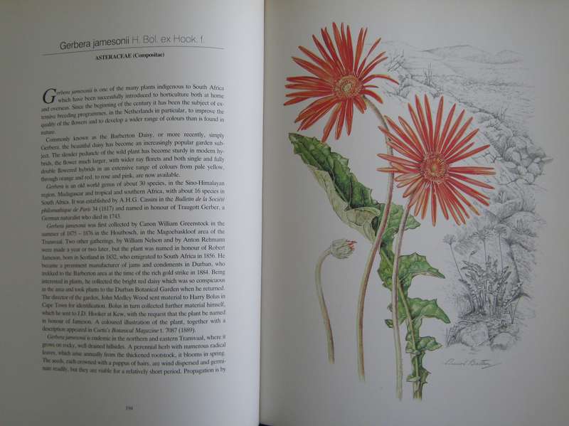 Flowers of Southern Africa Auriel Batten      Publisher: Southern Book Publishers  Edition