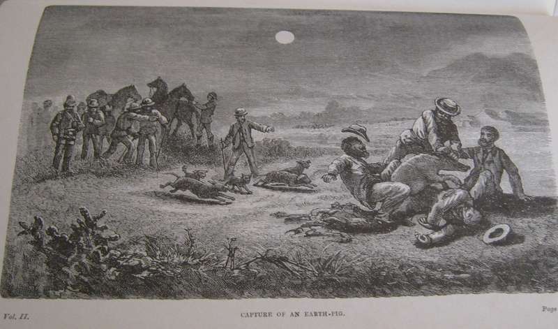 Seven Years In Africa Travels, Researches, and Hunting Adventures, between the Diamond-Fields and th
