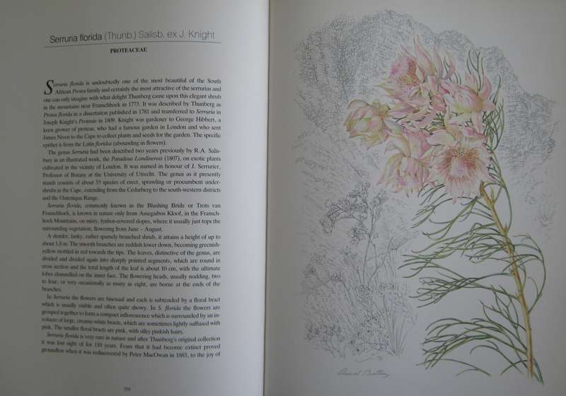 Flowers of Southern Africa Auriel Batten      Publisher: Southern Book Publishers  Edition