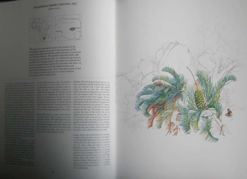 Cycads of Africa  Douglas Goode - Signed copy with slipcase
