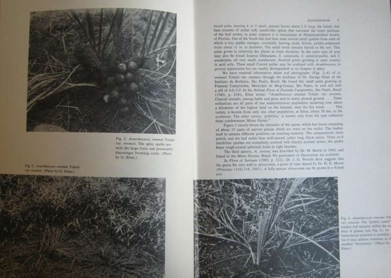 Palms of the World & Supplement to Palms of the World