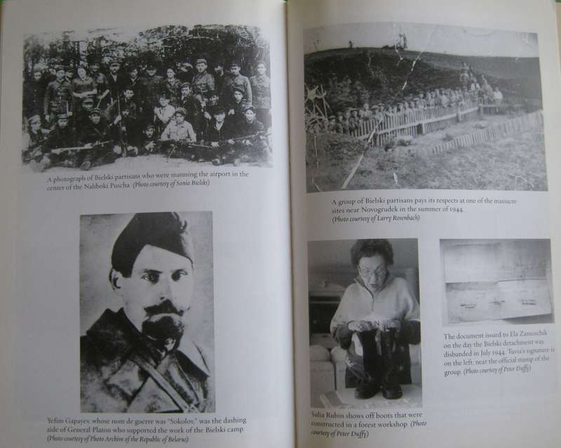 Brothers in Arms The True Story of the Bielski Brothers