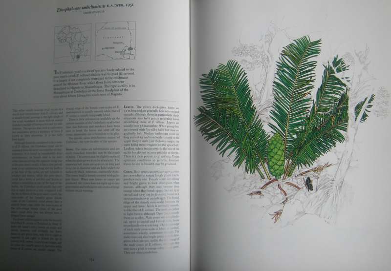 Cycads of Africa  Douglas Goode - Signed copy with slipcase