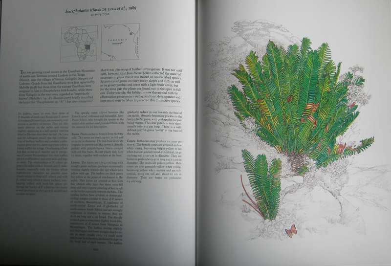 Cycads of Africa  Douglas Goode - Signed copy with slipcase