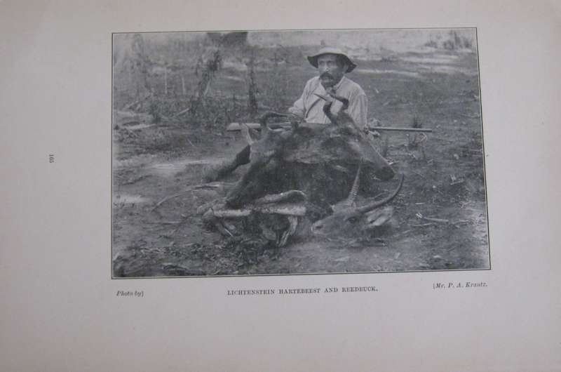 Big Game Shooting and Travel in South-East Africa F R N Findlay