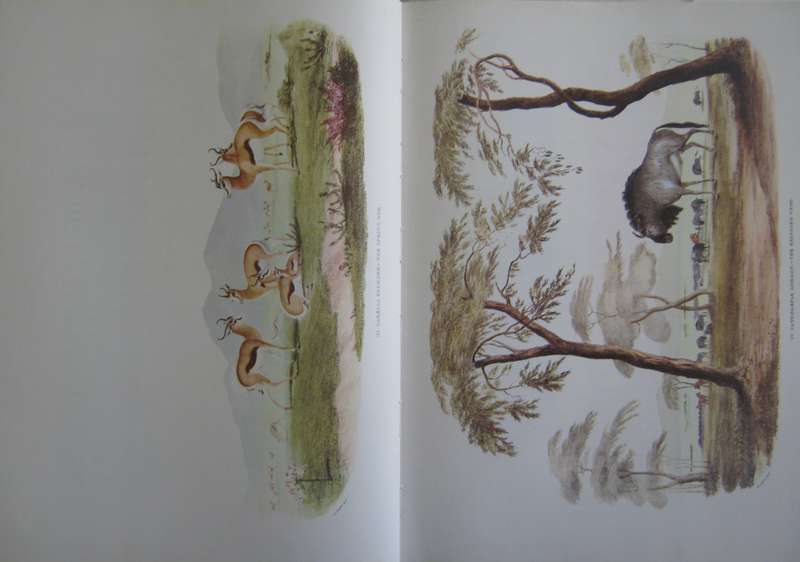 Portraits of the Game and Wild Animals of Southern Africa Captain W. Cornwallis Harris