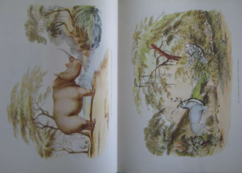 Portraits of the Game and Wild Animals of Southern Africa Captain W. Cornwallis Harris