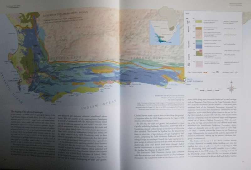 The Cape Orchids Regional, Monograph of the Orchids of the Cape Floristic Region. 2 Volumes. Signed