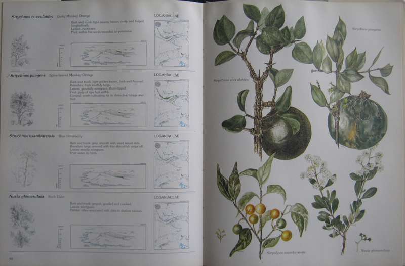 Trees & Shrubs of the Witwatersrand , Magaliesberg & Pilanesberg  Joan Van Goch & John Anderson