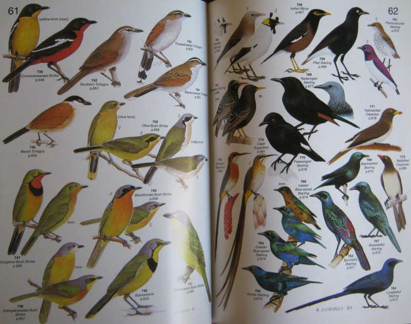 Robert Birds of Southern Africa Deluxe Leather Bound Edition 161/250.