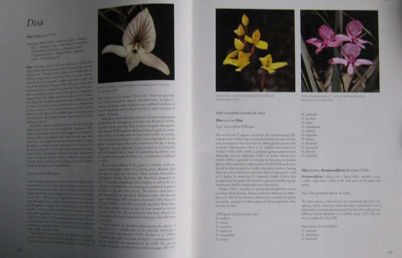 The Cape Orchids Regional, Monograph of the Orchids of the Cape Floristic Region. 2 Volumes. Signed