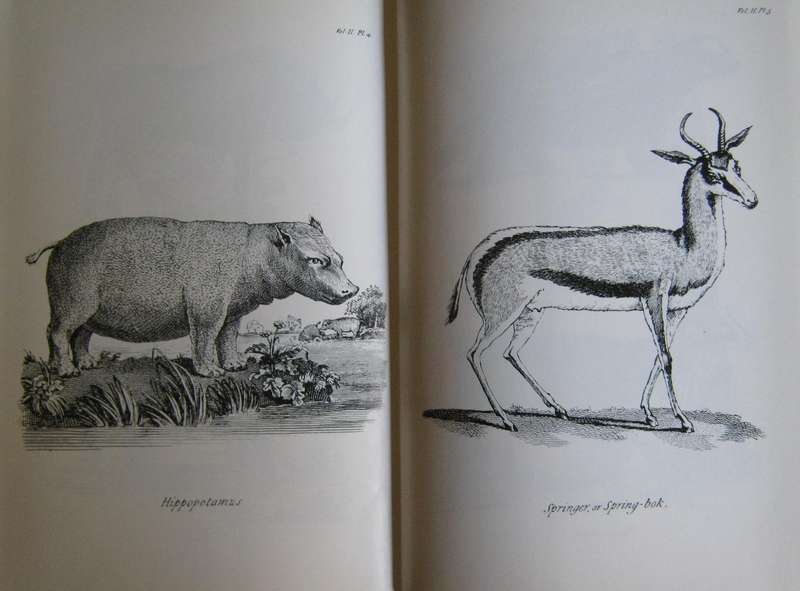 Anders Sparrman - Travels in the Cape - Van Riebeeck Society 1772 - 1776 - Volumes 1 & 2
