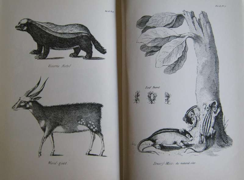 Anders Sparrman - Travels in the Cape - Van Riebeeck Society 1772 - 1776 - Volumes 1 & 2