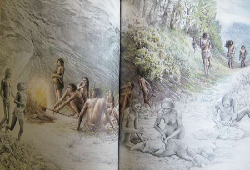 Origins What New Discoveries Reveal About the Emergence of our Species and its Possible Future