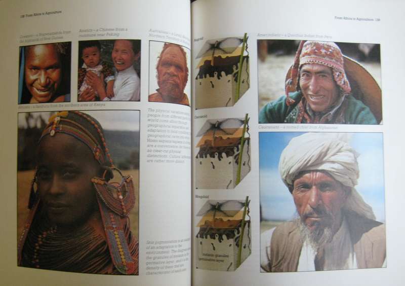 Origins What New Discoveries Reveal About the Emergence of our Species and its Possible Future