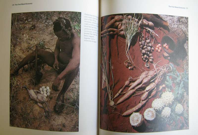 Origins What New Discoveries Reveal About the Emergence of our Species and its Possible Future