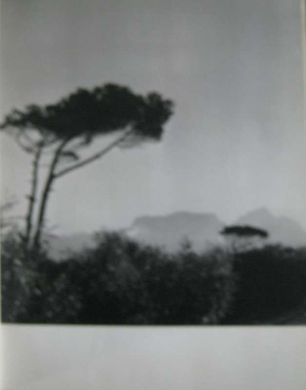 Portrait of South Africa Hans Reich