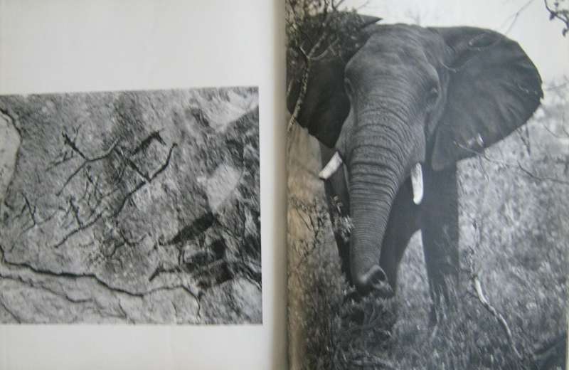 Portrait of South Africa Hans Reich
