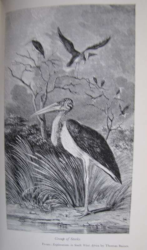 Notes of Travel in South Africa C J Anderson Edited by L Llyod Publisher