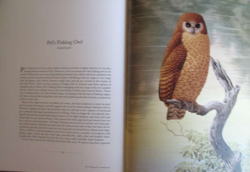 The Owls of Southern Africa Alan Kemp  | Simon Calburn
