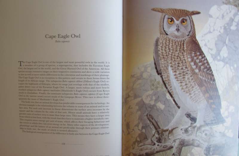The Owls of Southern Africa Alan Kemp  | Simon Calburn
