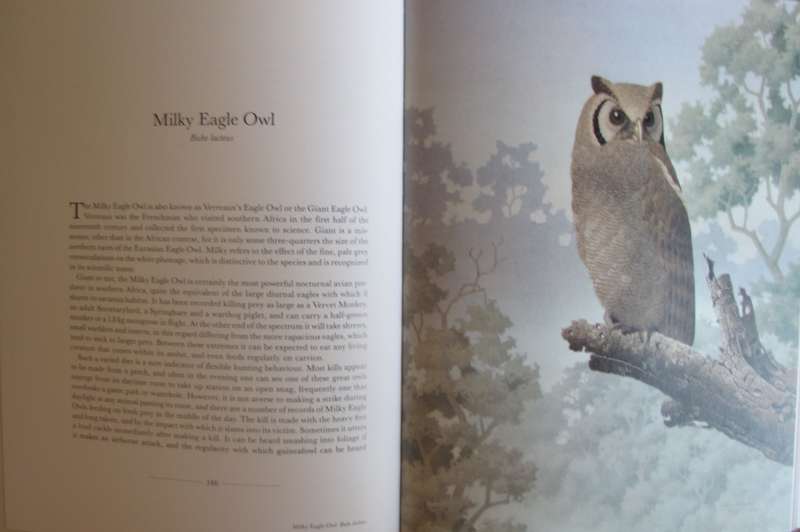 The Owls of Southern Africa Alan Kemp  | Simon Calburn