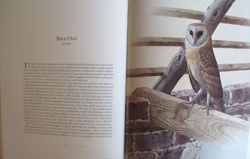 The Owls of Southern Africa Alan Kemp  | Simon Calburn