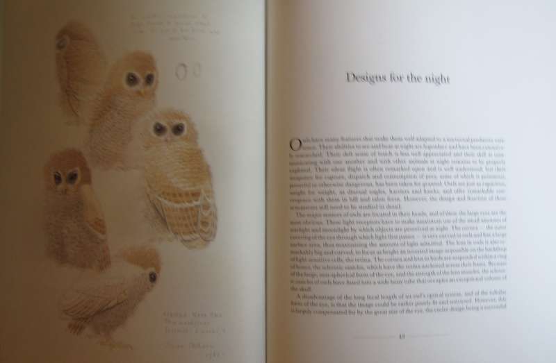 The Owls of Southern Africa Alan Kemp  | Simon Calburn
