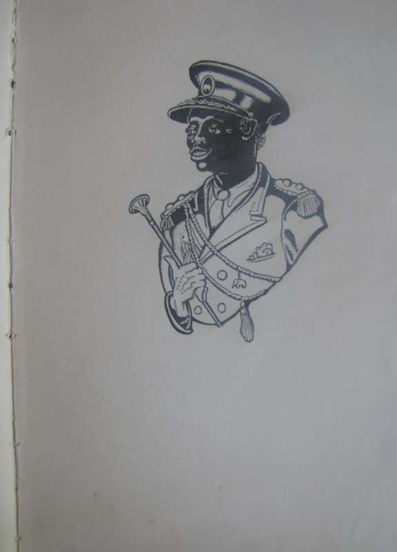 David Goes to Zululand  K Marshall