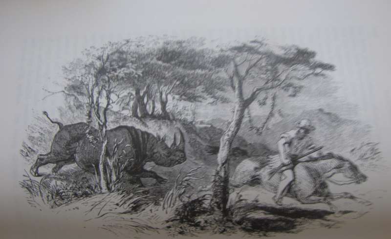 A Hunters Life in South Africa  Author: R Gordon Cumming