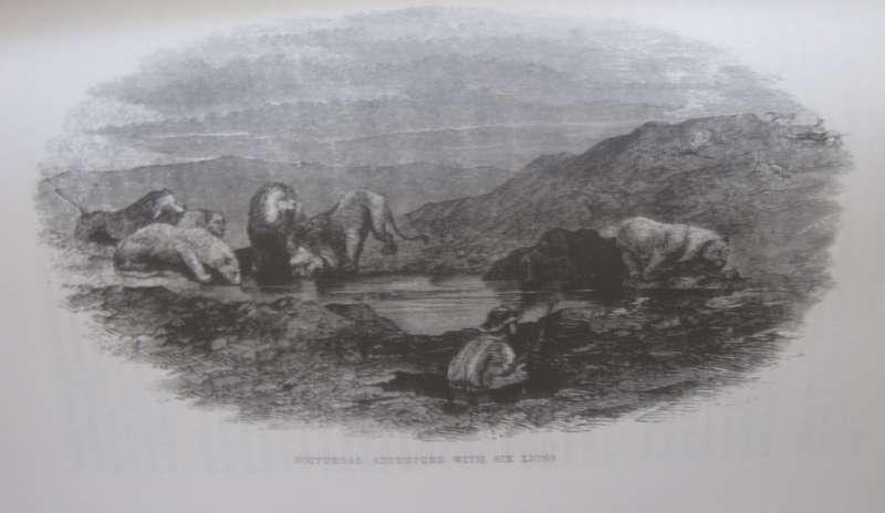 A Hunters Life in South Africa  Author: R Gordon Cumming