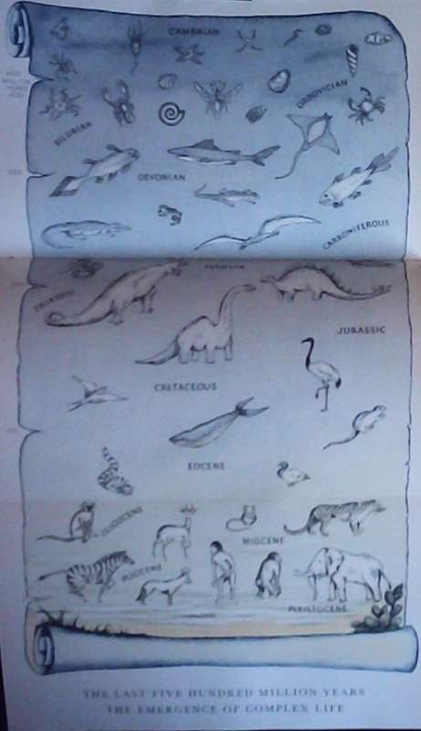 African Genesis A Personal Investigation into the Animal Origins and Nature of Man Robert Ardey