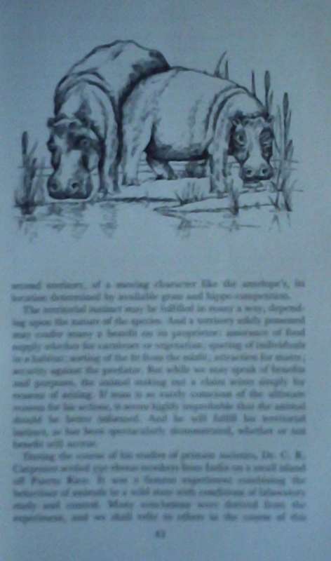 African Genesis A Personal Investigation into the Animal Origins and Nature of Man Robert Ardey