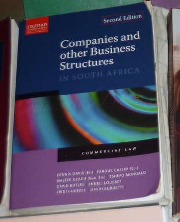Companies and other Business Structures in South Africa