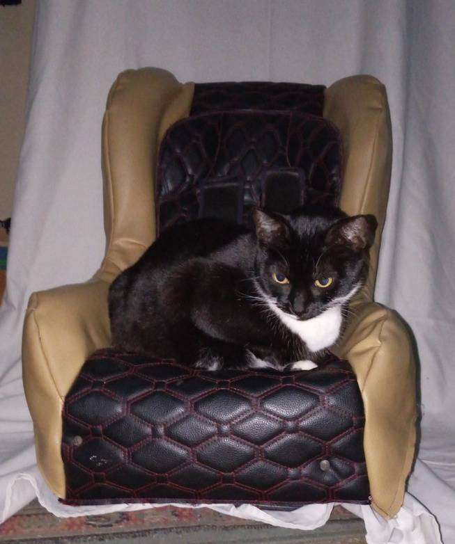 Car baby Seat leatherette