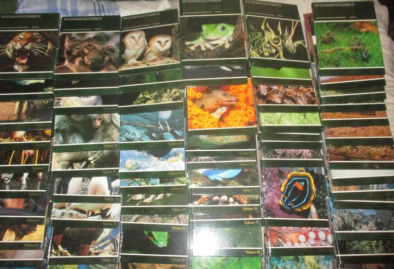 The Illustrated Encyclopaedia of Wildlife Vol 1 to 62