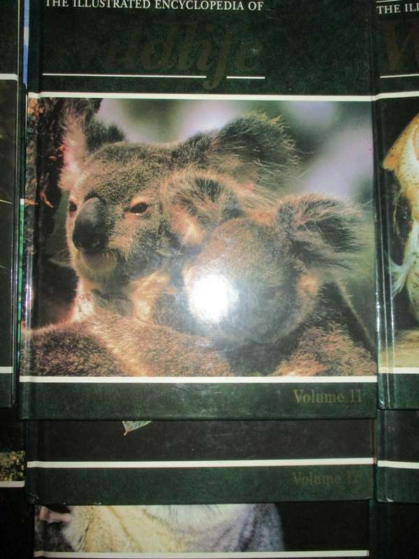 The Illustrated Encyclopaedia of Wildlife Vol 1 to 62