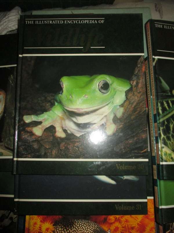 The Illustrated Encyclopaedia of Wildlife Vol 1 to 62