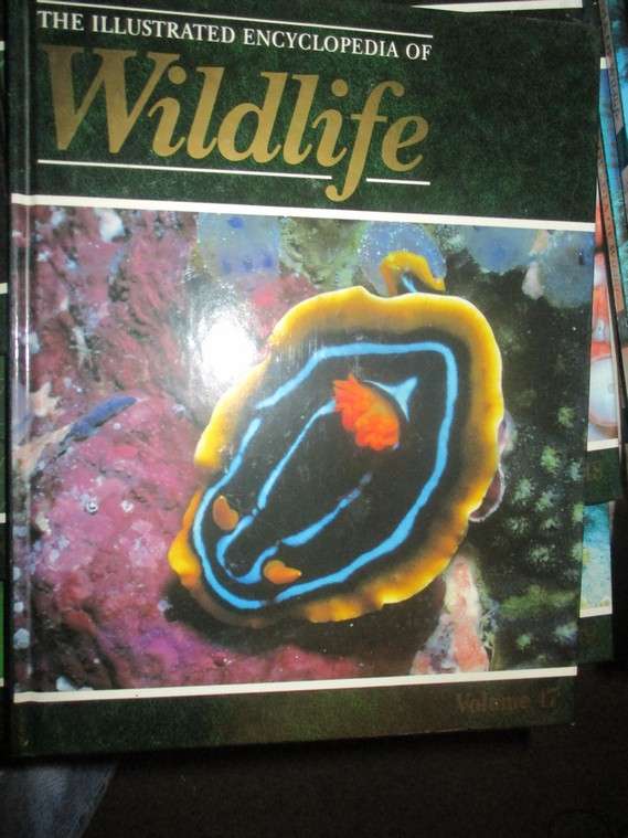 The Illustrated Encyclopaedia of Wildlife Vol 1 to 62