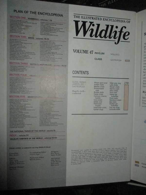The Illustrated Encyclopaedia of Wildlife Vol 1 to 62