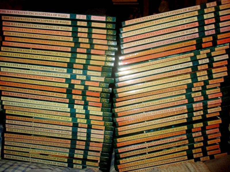 The Illustrated Encyclopaedia of Wildlife Vol 1 to 62