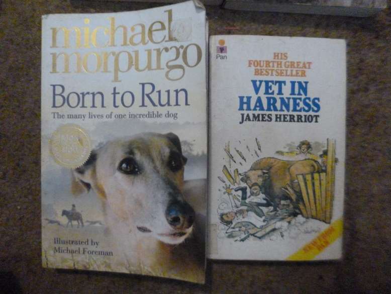 Animal stories  . Vet story Books x 5