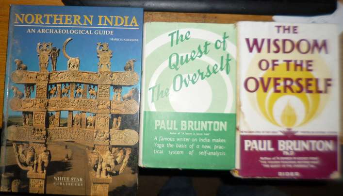 Indian Books - Choose any 3 books for R100